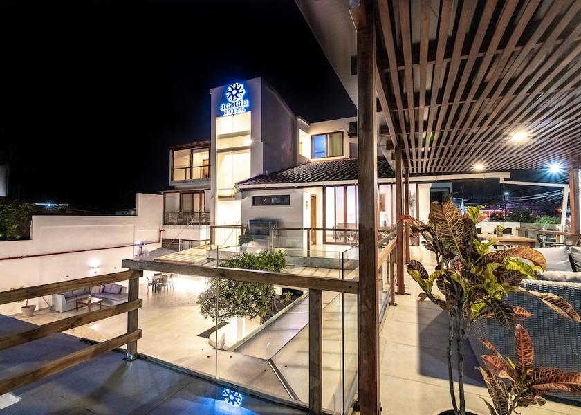 Galapagos Puerto Ayora Terrace