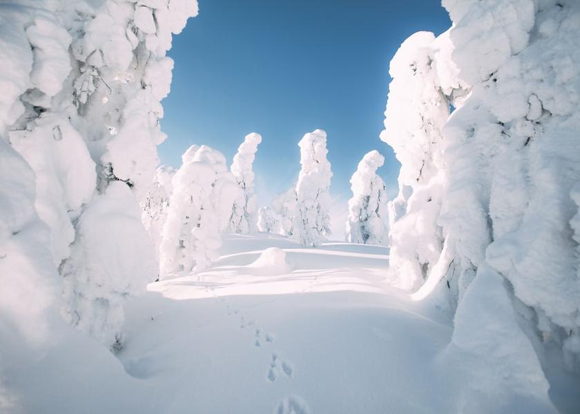 Oulu Kuusamo Exterior Detail