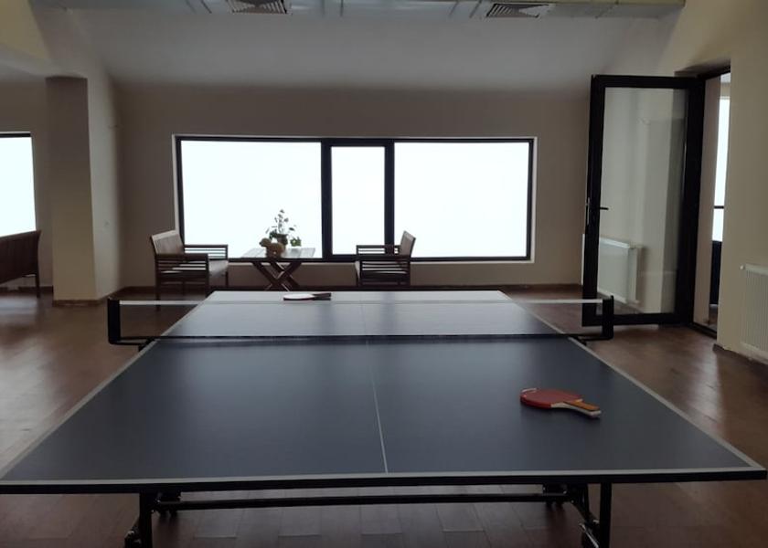 Mtskheta-Mtianeti Kazbegi Interior Entrance