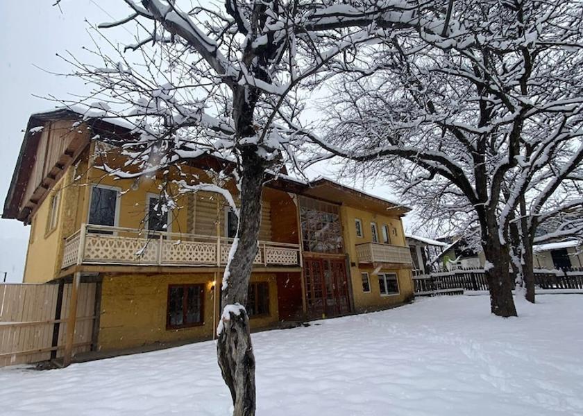  Borjomi Exterior Detail