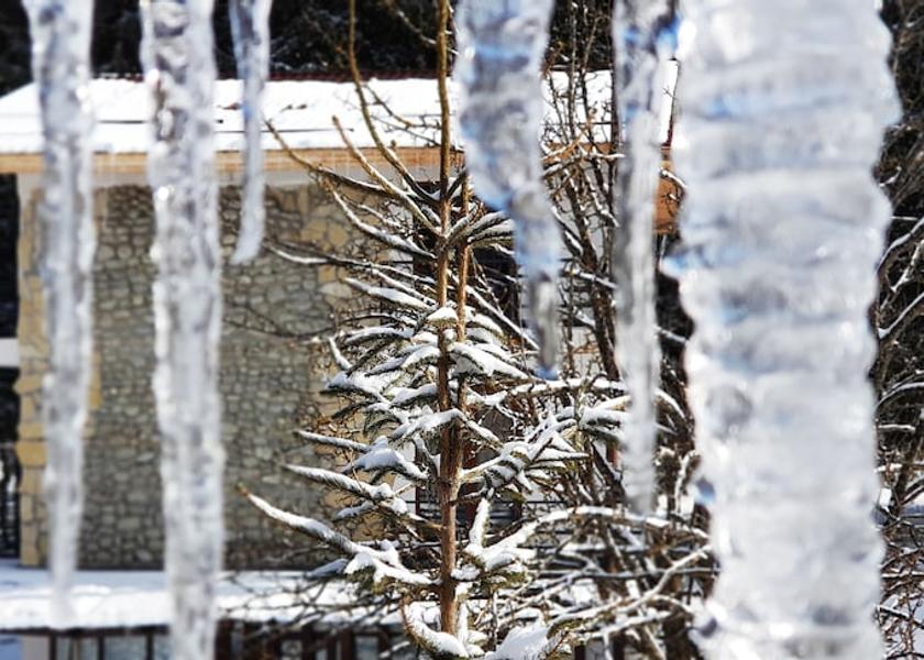  Borjomi Property Grounds