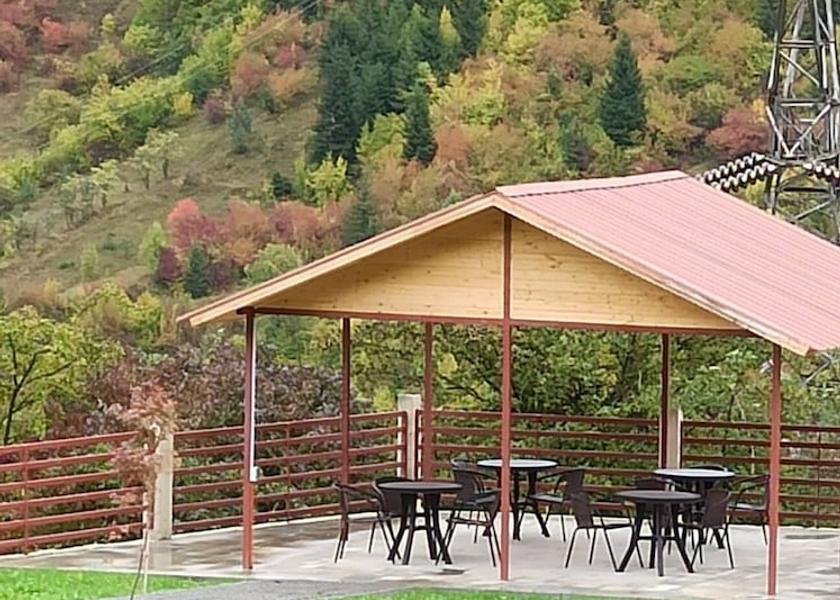  Borjomi Terrace