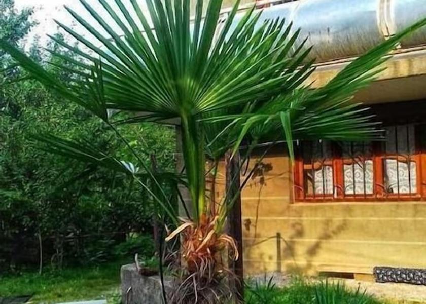 Kakheti Telavi Exterior Detail