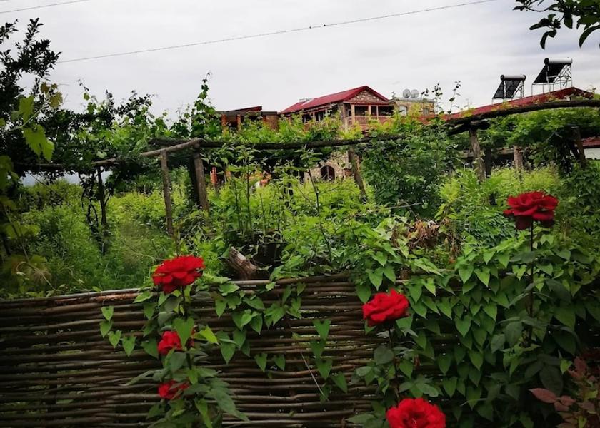 Kakheti Telavi Property Grounds