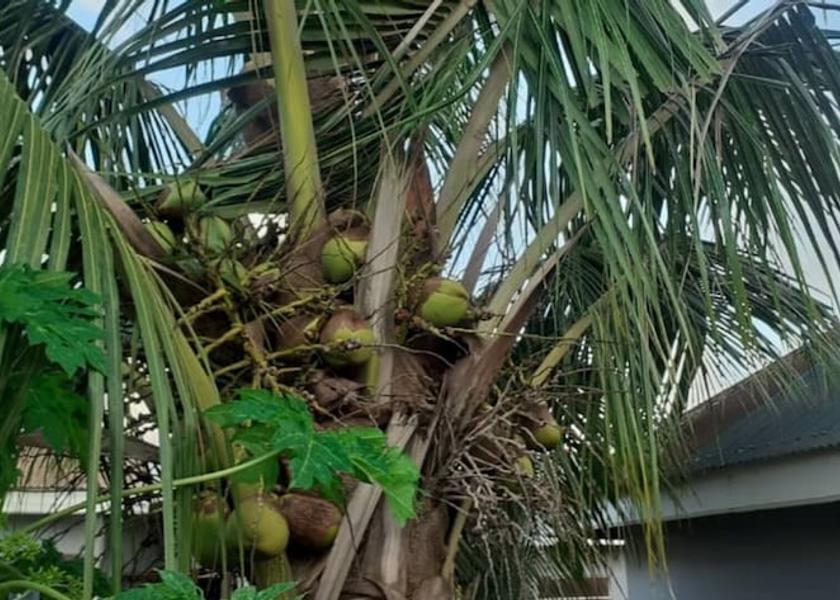  Kumasi Property Grounds