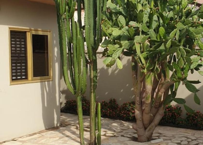  Accra Property Grounds