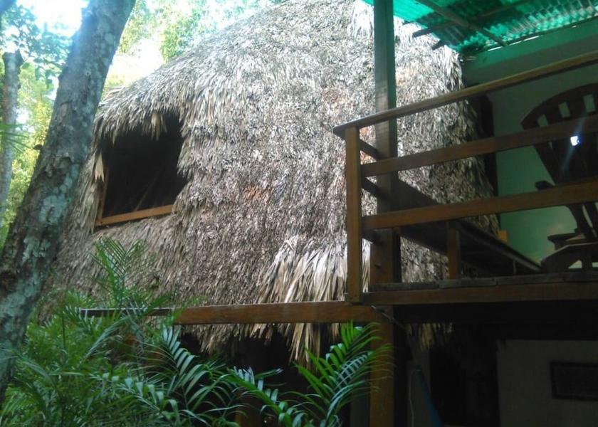 Peten Flores Property Grounds