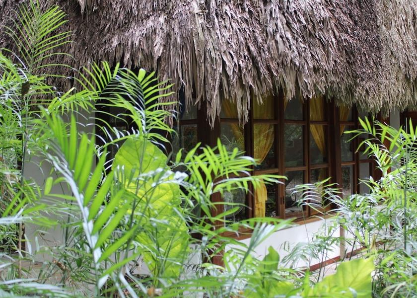 Peten Flores Property Grounds