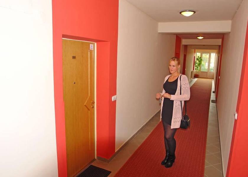 Vas County Sarvar Interior Entrance
