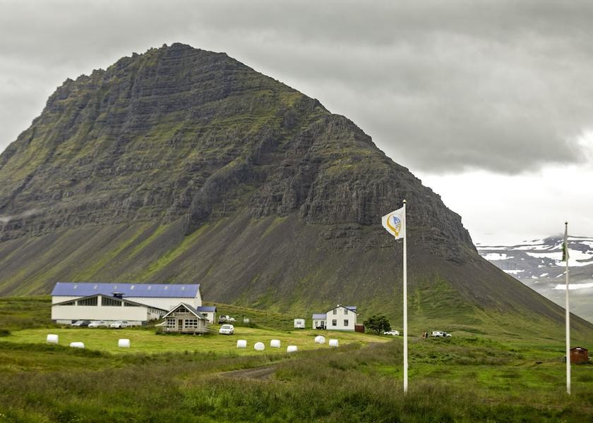 Westfjords Flateyri Primary image