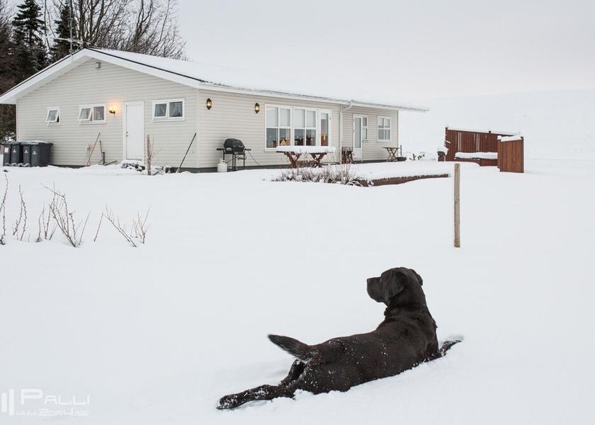 Northeast Region Laugar Facade