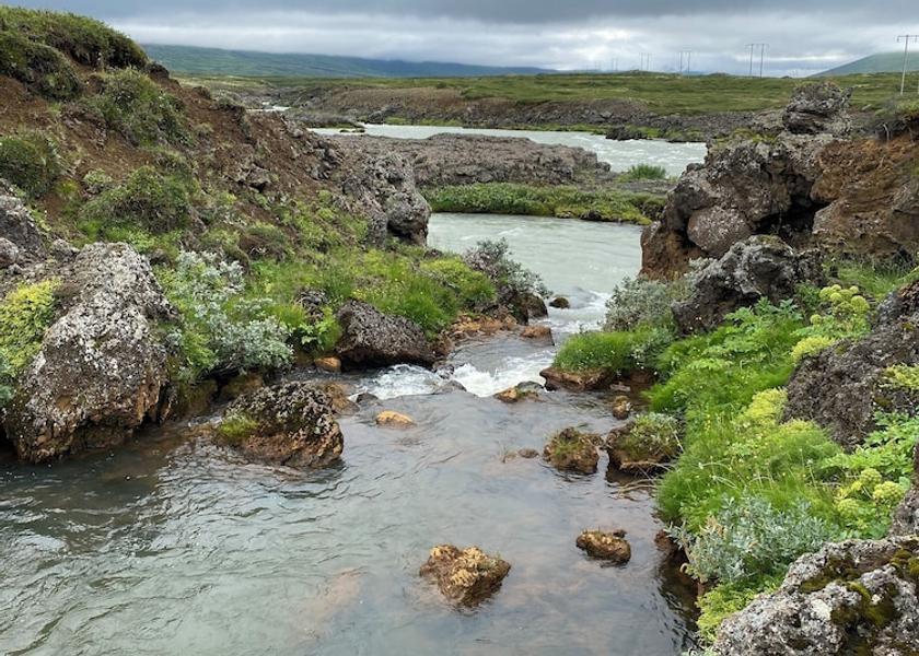 Northeast Region Laugar Property Grounds