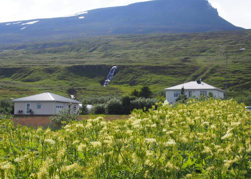 Northeastern Region Husavik Exterior view