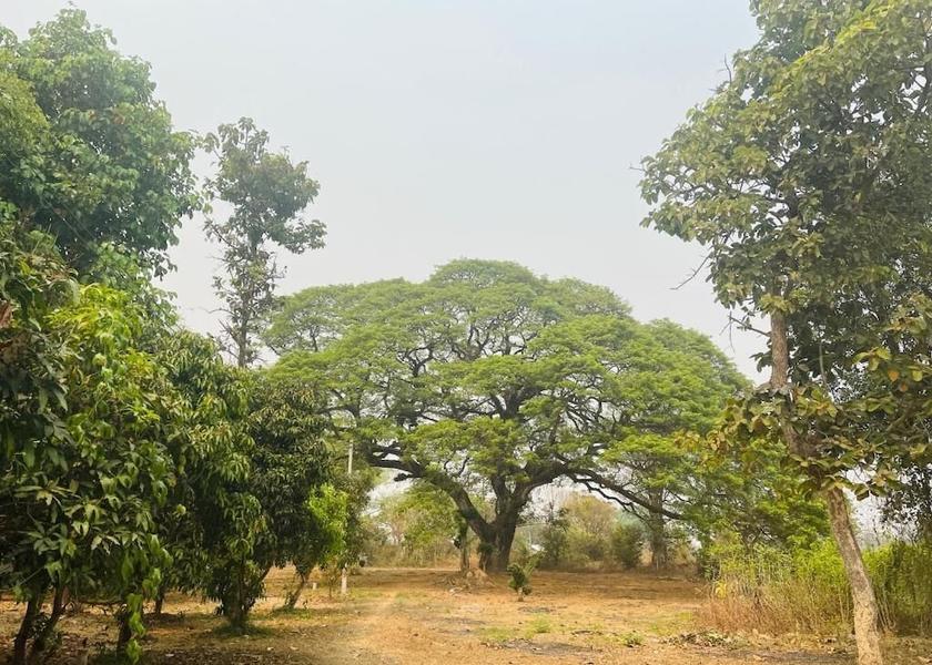  Vientiane Exterior Detail