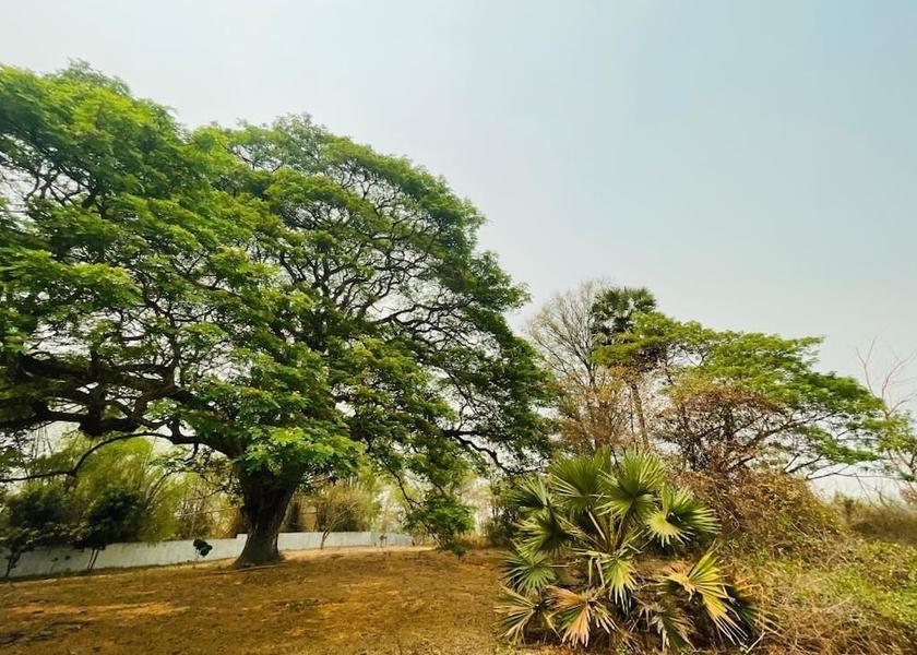  Vientiane Exterior Detail