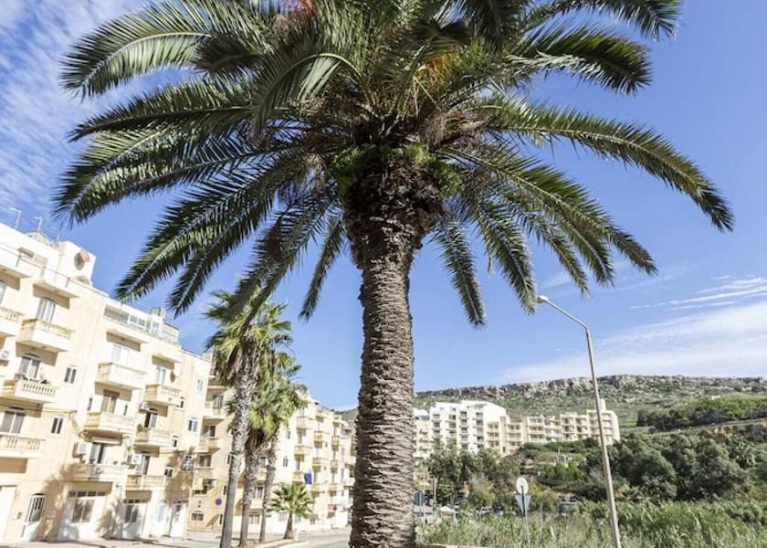 Gozo Region Zebbug Property Grounds