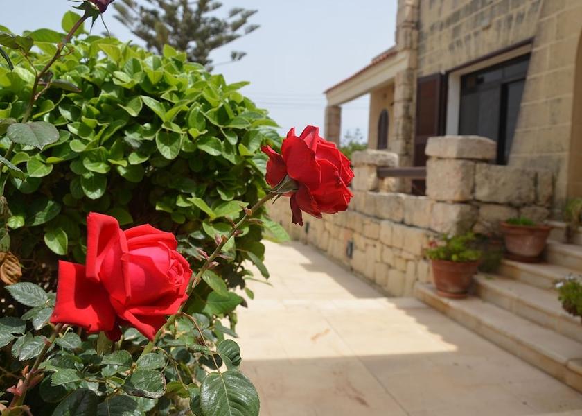  Swieqi Exterior Detail