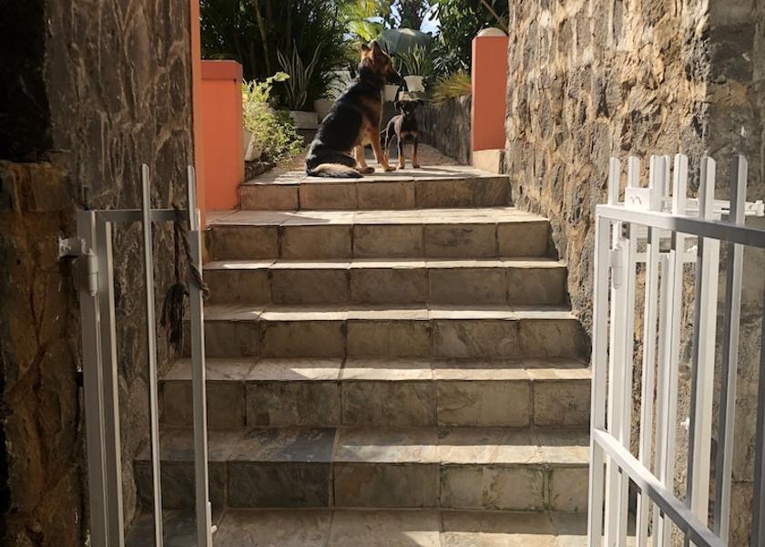 MU Tamarin Exterior Detail