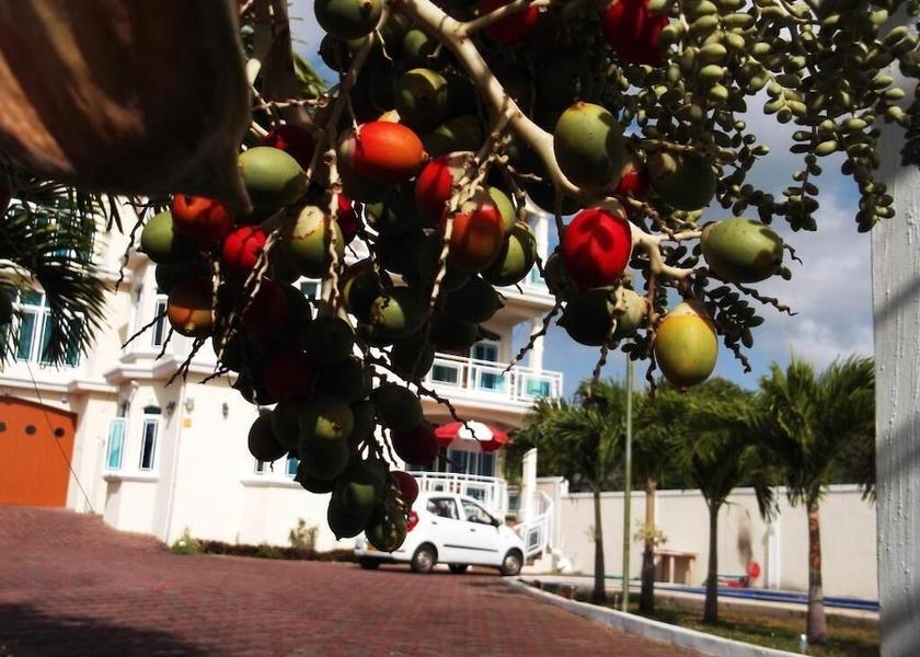 MU Belle Mare Property Grounds