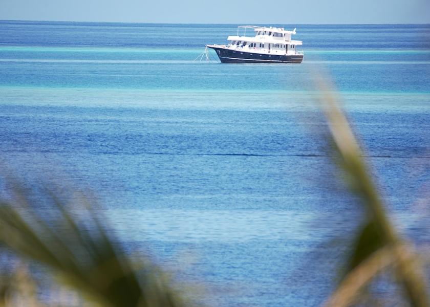 Kaafu Atoll Thulusdhoo Island Exterior Detail