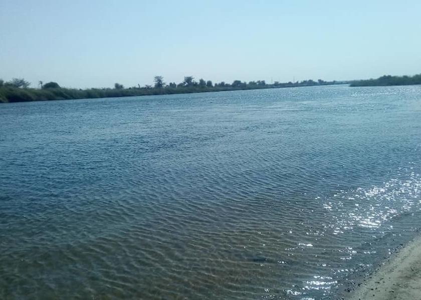 Land View from Property