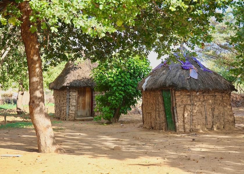 Kavango Divundu Garden