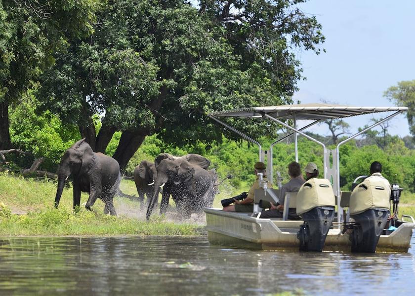 Zambezi Region Kasika Safari and game