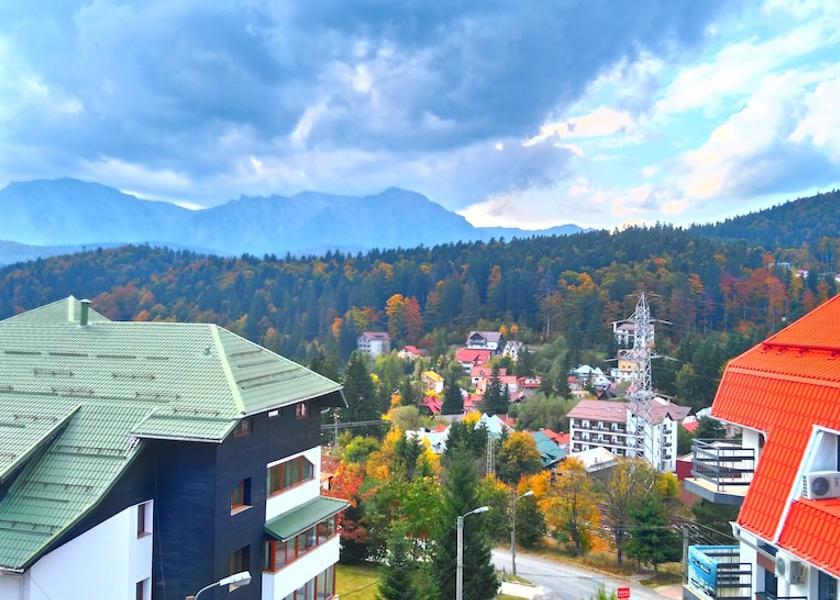  Predeal Exterior Detail