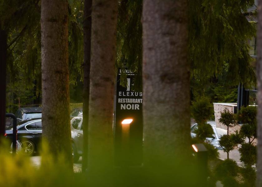  Predeal Exterior Detail