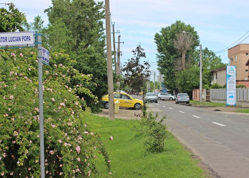  Otopeni Property Grounds