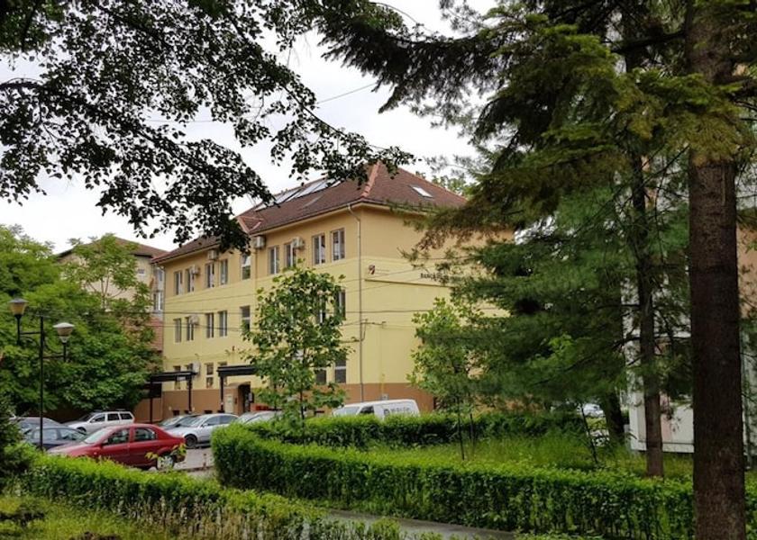 Timiş Timisoara Exterior Detail