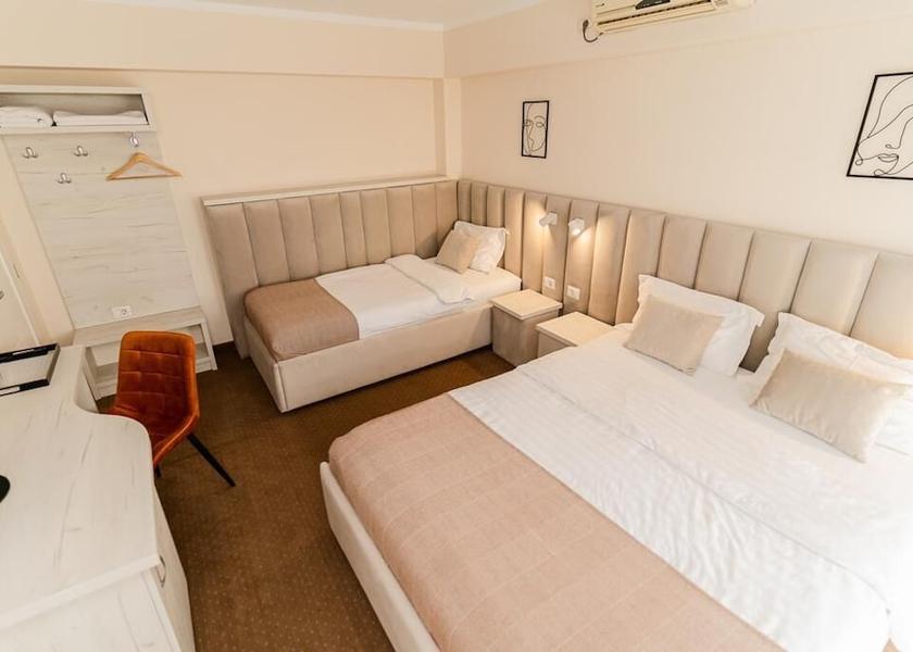 Timiş Timisoara Room