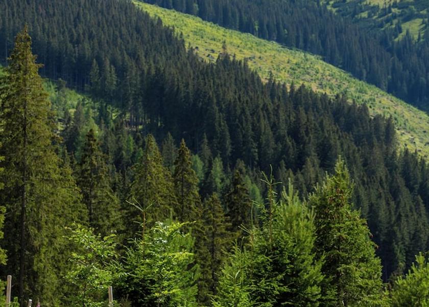  Demanovska Dolina Exterior Detail