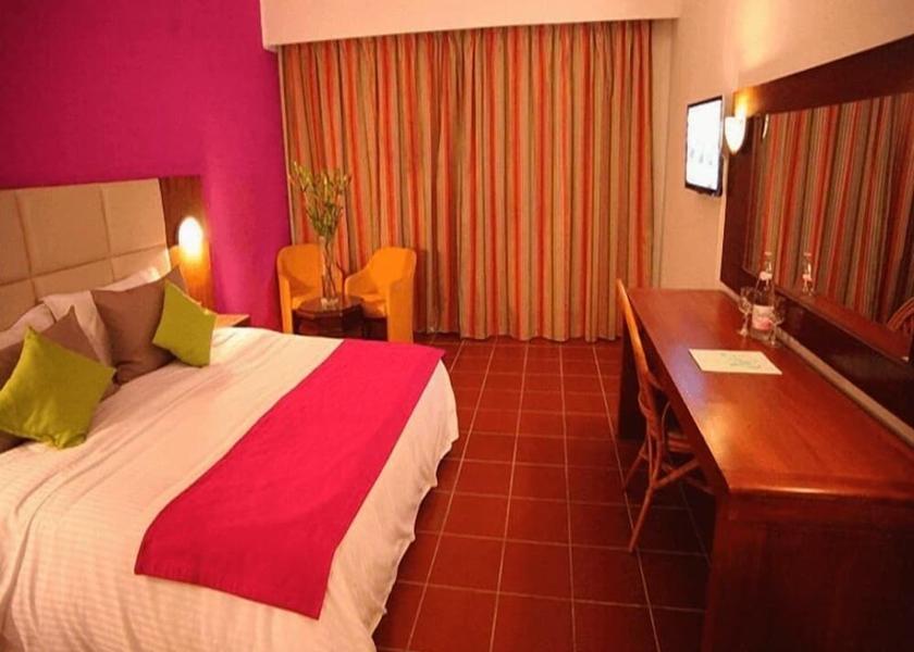 Nabeul Governorate Hammamet Room