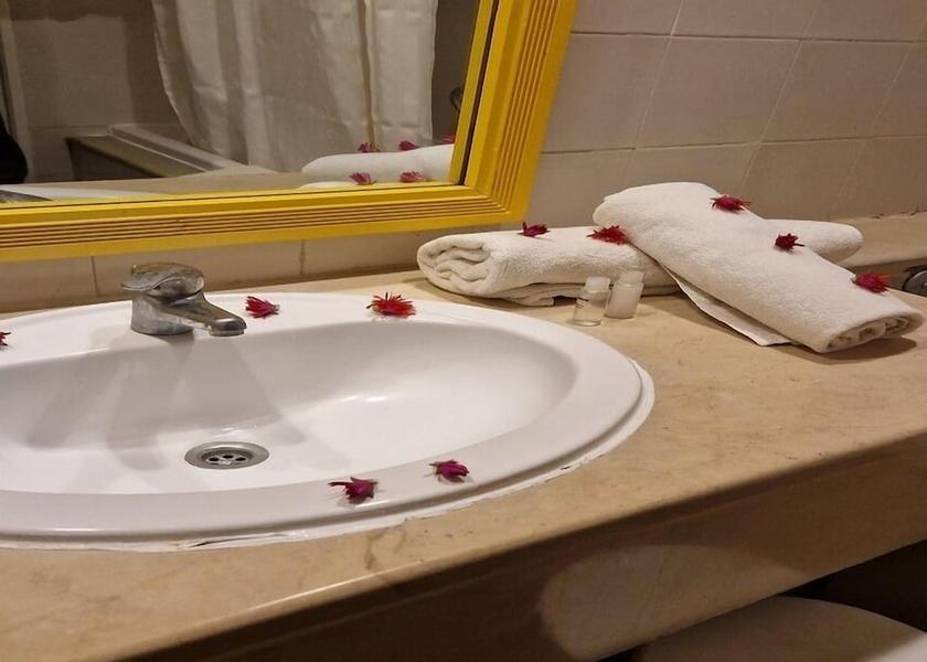 Nabeul Governorate Hammamet Bathroom
