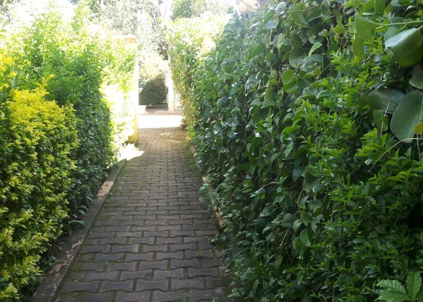  Gulu Exterior Detail