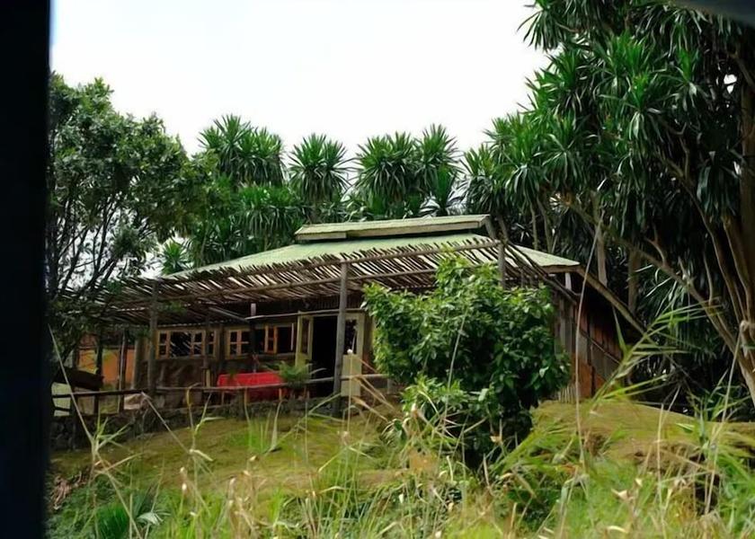  Kisoro Breakfast Area