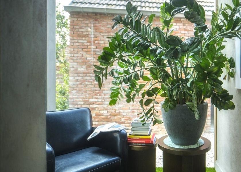 Flemish Region Hasselt Hallway