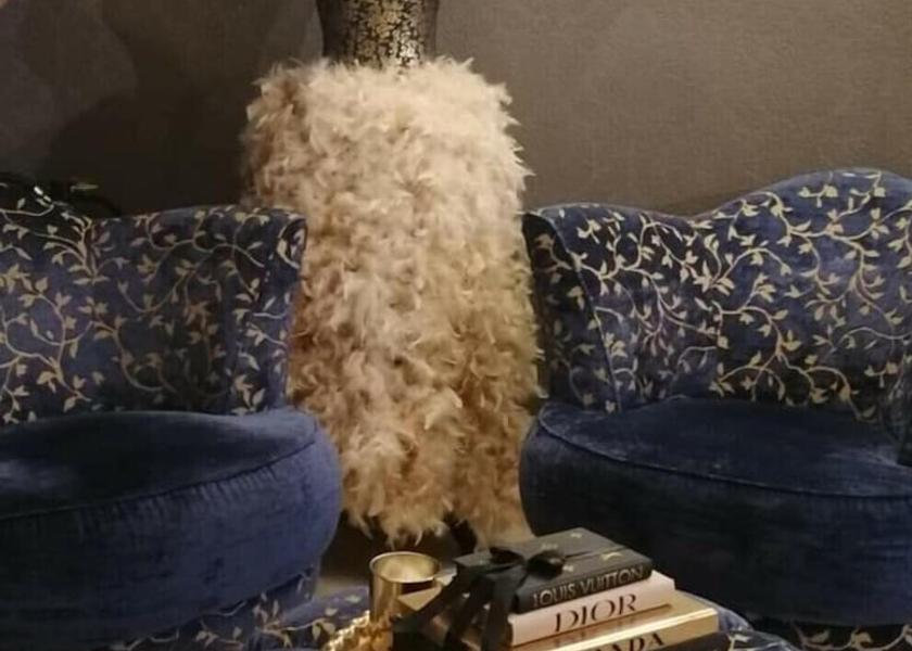 Flemish Region Hasselt Reception