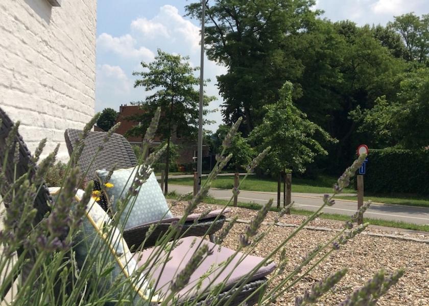 Land View from Property