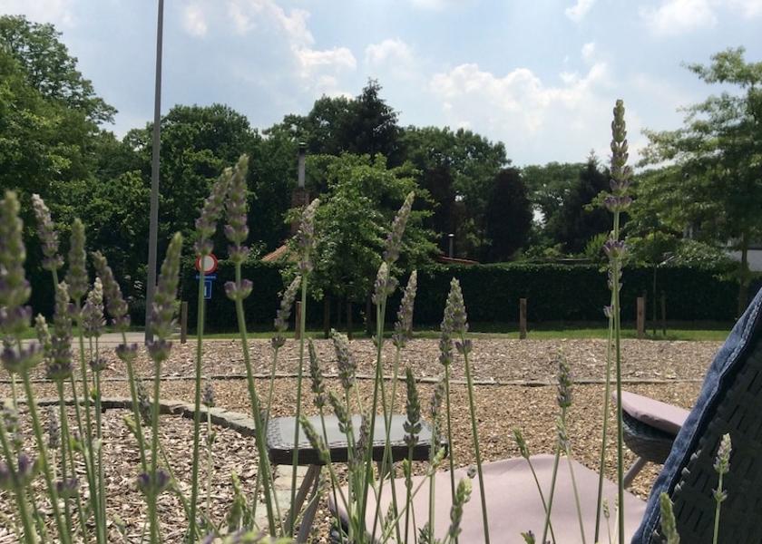 Land View from Property