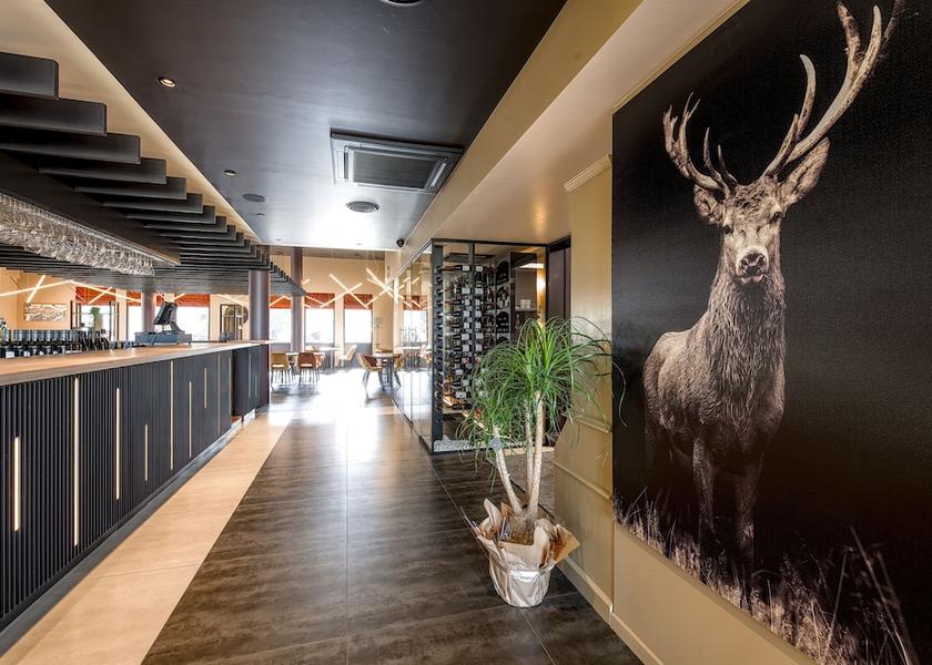 Walloon Region Namur Restaurant