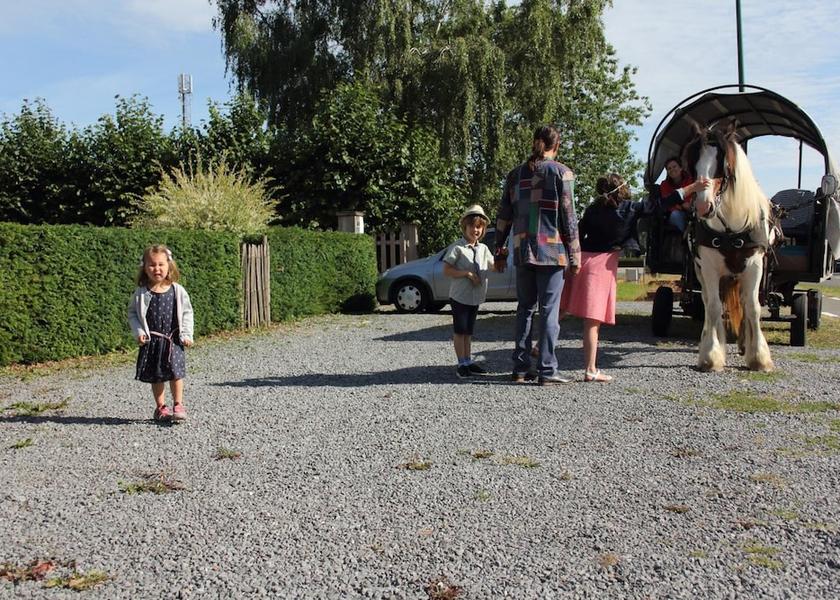 Flemish Region Eeklo Outdoors