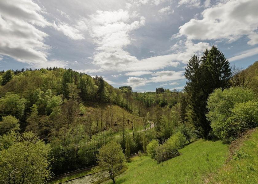 Walloon Region Vresse-sur-Semois Exterior Detail