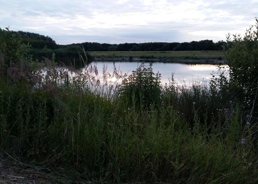 Flemish Region Blankenberge Property Grounds