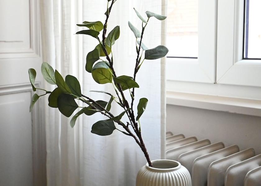 Flemish Region Antwerp Interior Entrance