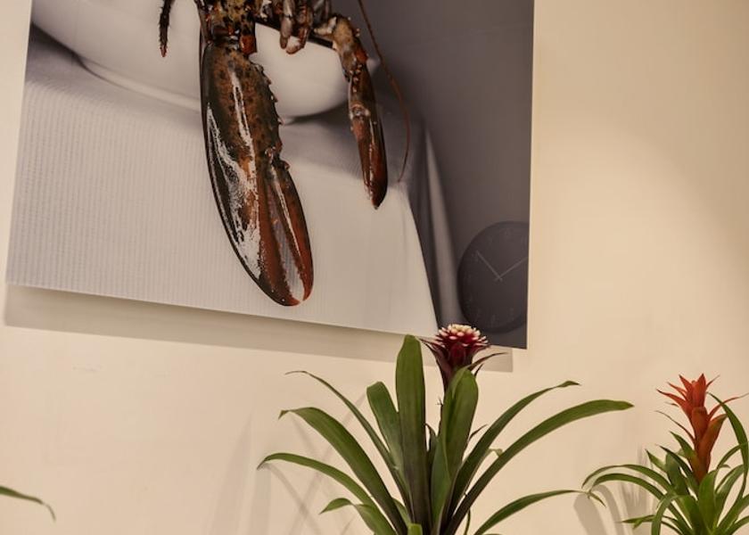 Flemish Region Antwerp Room