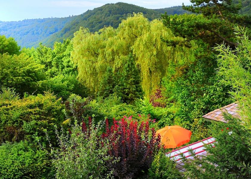 Walloon Region Aywaille View from Property