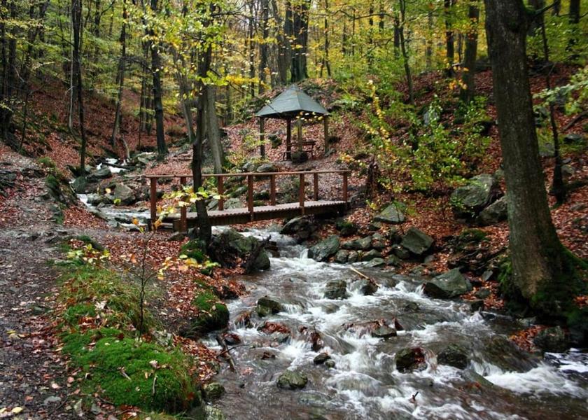 Walloon Region Spa View from Property