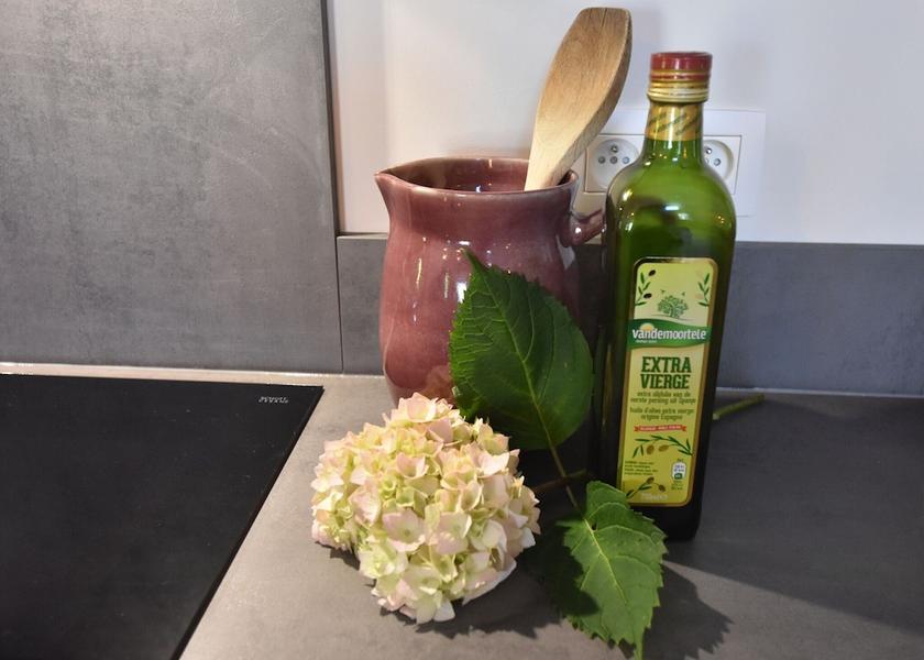 Flemish Region Damme Amenity